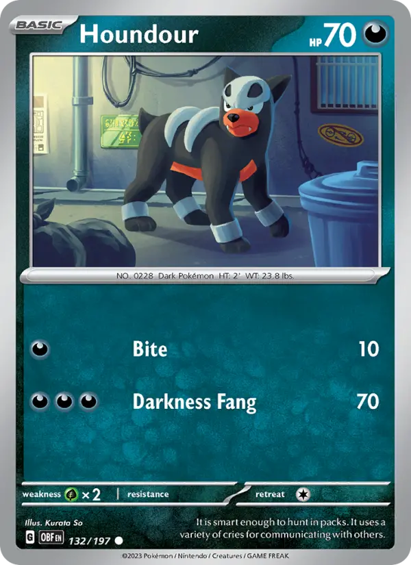 Houndour card