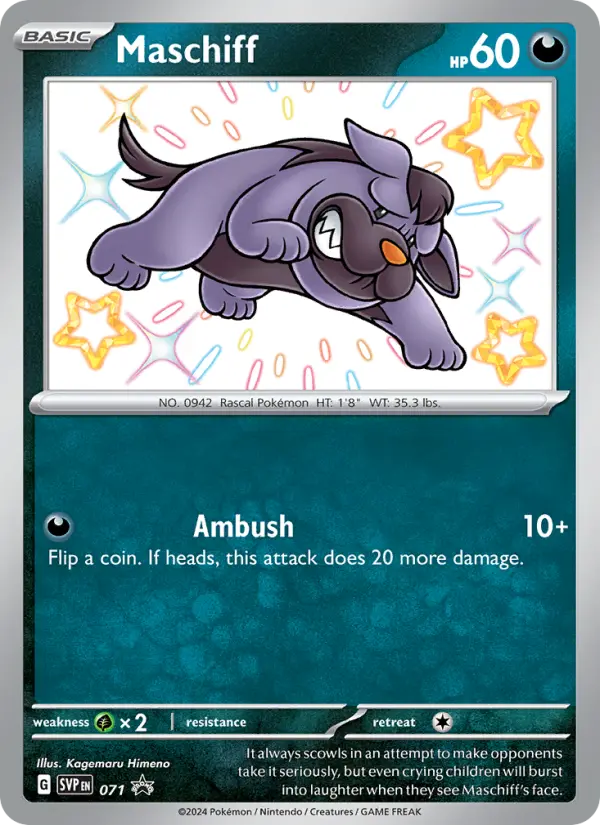 Maschiff card