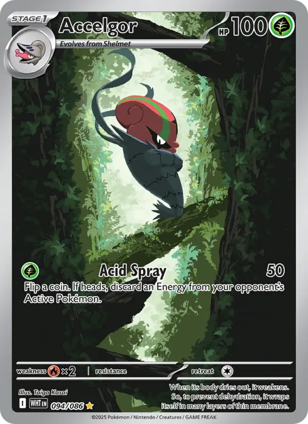 Accelgor card