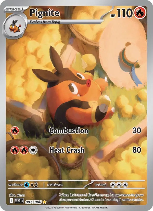 Pignite card