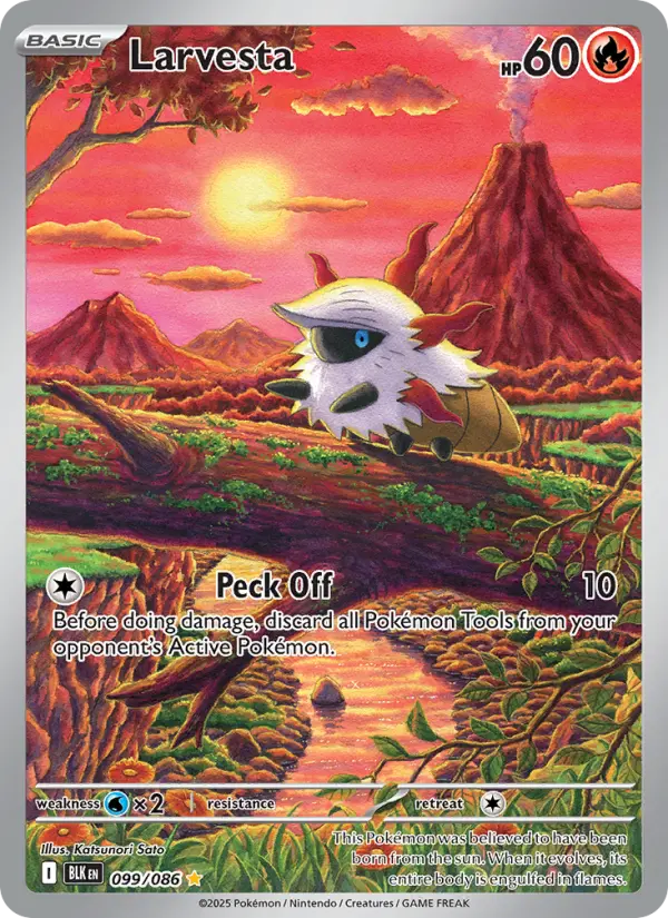 Larvesta card