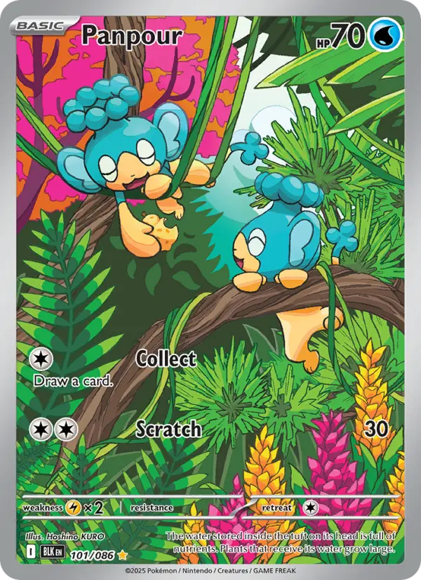 Panpour card