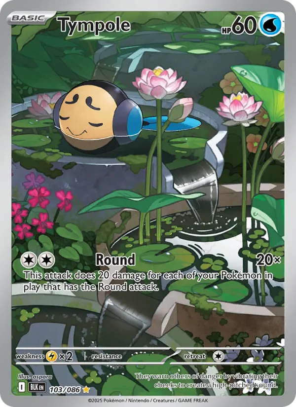 Tympole card