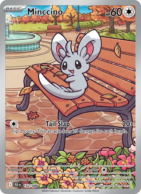 Minccino card