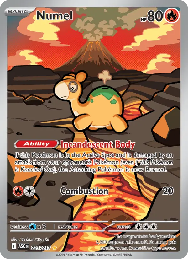 Numel card